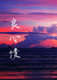 良心债第七集